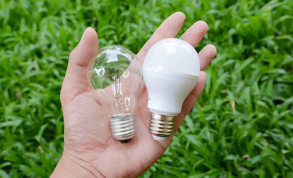 A person holding LED and incandescent light bulbs showcasing the difference between the two lighting technologies
