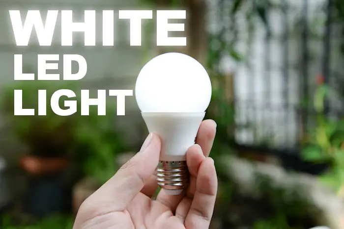 Un individuo che mostra l'efficacia di una luce LED bianca