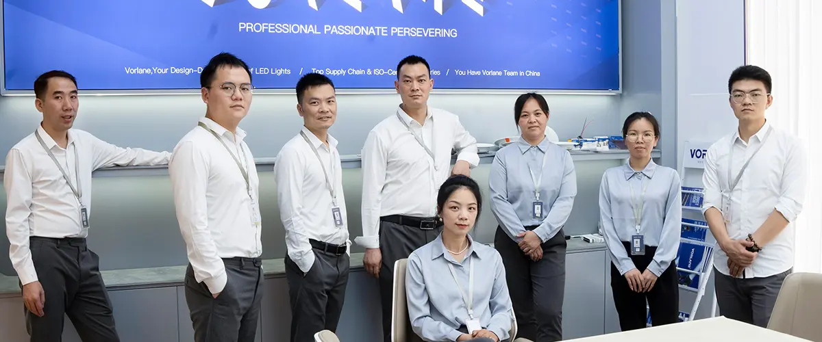 Групповое фото 2 офиса команды Professional VORLANE в Чжуншань